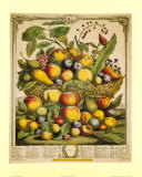 Fruits de saison (été) Affiche par Robert Furber