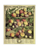 Fruits of the Season Autumn Posters by Robert Furber