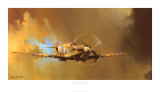 Spitfire Poster van Barrie Clark Spitfire Poster van Barrie Clark