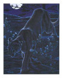 Night Walk Prints by Richard Stanley