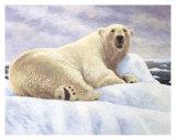 Ice Kingdom Prints by Alan Sakhavarz