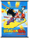 Dragonball Wandrol