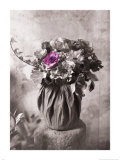 Violetas Lámina Violetas Lámina