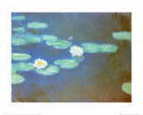 Nymphaeas, 1897/1898 Kunstdrucke von Claude Monet