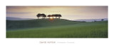 Amanecer en Somerset Láminas por David Noton Amanecer en Somerset Láminas por David Noton