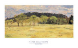 Buck Run Willows Print by Peter Sculthorpe