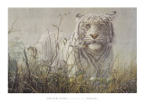 Monzón: tigre blanco (detalle) Láminas por John Seerey-Lester