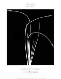 Wild Grasses II Affiches par K. Kennedy