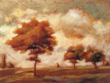 Tuscan Afternoon II Prints by P. Patrick