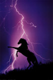 Eclairs et silhouette de cheval Posters