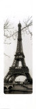 Eiffel Tower Posters