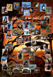 Savannah Wildlife Prints
