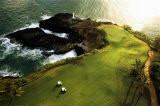 Golf-Parcours, Küste von Hawaii Kunstdruck