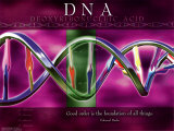 DNA Umění DNA Umění