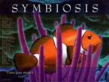 Symbiosis Plakát Symbiosis Plakát