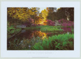 Secret Garden I Prints by Bent Rej