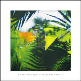 Palm Shadows II Affiche par Chris Simpson