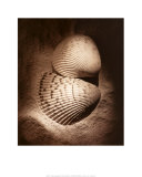 Cockles Prints by Laurel Wade
