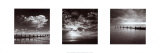 Sea and Sky Panel Posters by Bill Philip
