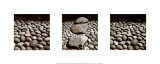 Jardín Zen Pósters por Chris Simpson Jardín Zen Pósters por Chris Simpson