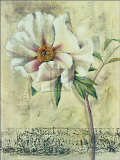 Floral Blush III Posters by Dennis Carney