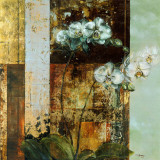 Anant Orchid Prints by Dennis Carney