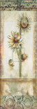 Fiorindo Vita I Posters by John Douglas