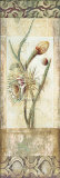 Fiorindo Vita II Prints by John Douglas