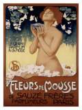 Fleur de Mousse Giclee Print by Leopoldo Metlicovitz