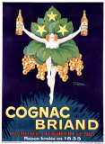 Cognac Briand reproduction procédé giclée par Stephane 