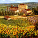 Provencal Village III Posters av Michael Longo Provencal Village III Posters av Michael Longo