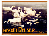 Biscotti Delser Giclee Print by Mario Borgoni