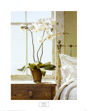 Bedside Orchid Poster by Zhen-Huan Lu