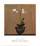 Pacific Serenity I Prints by David W. Jackson