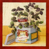 Kitchen Herbs: Basil Affiches par Lisa Audit