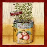 Kitchen Herbs - Thyme Láminas por Lisa Audit Kitchen Herbs - Thyme Láminas por Lisa Audit
