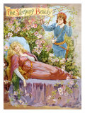 The Sleeping Beauty Giclee Print
