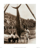 Day's Catch Poster