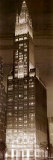 Woolworth Building Art by P. Moss