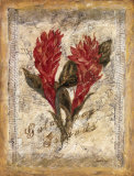 Red Ginger Posters by Shari White
