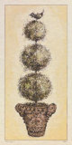 Pompón de hierbas Arte por Constance Lael