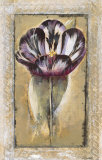 Tulipa Posters by Augustine (Joseph Grassia) 