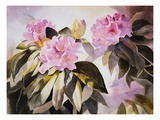 Rhodies II Giclee Print by Joan Grout