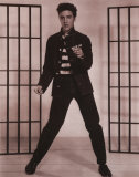 Elvis Presley Poster