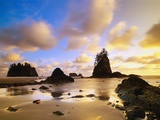 Sea Stacks Off Second Beach Photographic Print by Ron Watts