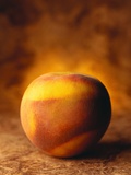 Nectarine Photographic Print by Duncan Smith