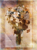 White Flowers in a Vase Photographic Print by Colin Anderson