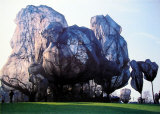 Wrapped Trees XIV Posters by Christo 