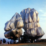 Wrapped Trees XVI Poster by Christo 