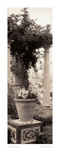 Jardin Botanico Prints by Alan Blaustein